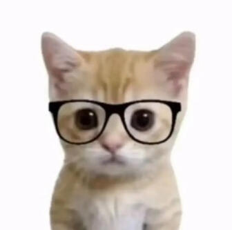 trixkin